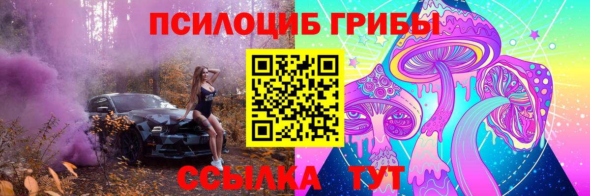 Галлюциногенные грибы Magic Shrooms Дзержинск