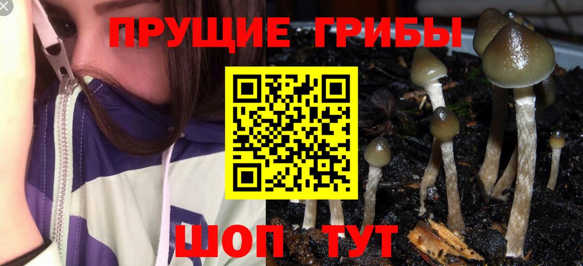 где найти   Вход с VPN  Дзержинск  Галлюциногенные грибы ЛСД  Псилоцибиновые грибы MAGIC MUSHROOMS 