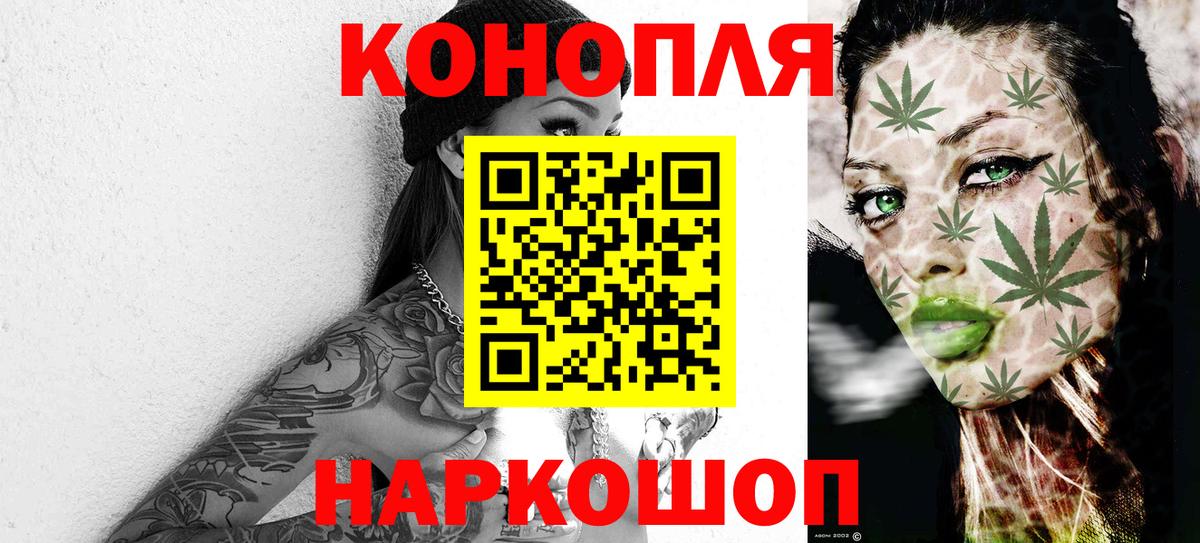 Бошки Шишки ГИДРОПОН  Бошки Шишки семена  Вход с VPN  Дзержинск  Каннабис индика 
